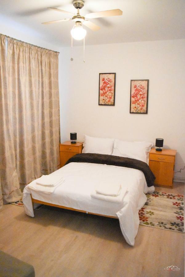 Spacious And Cozy 3Bd+Terrace Couples Apartment Timişoara Eksteriør billede