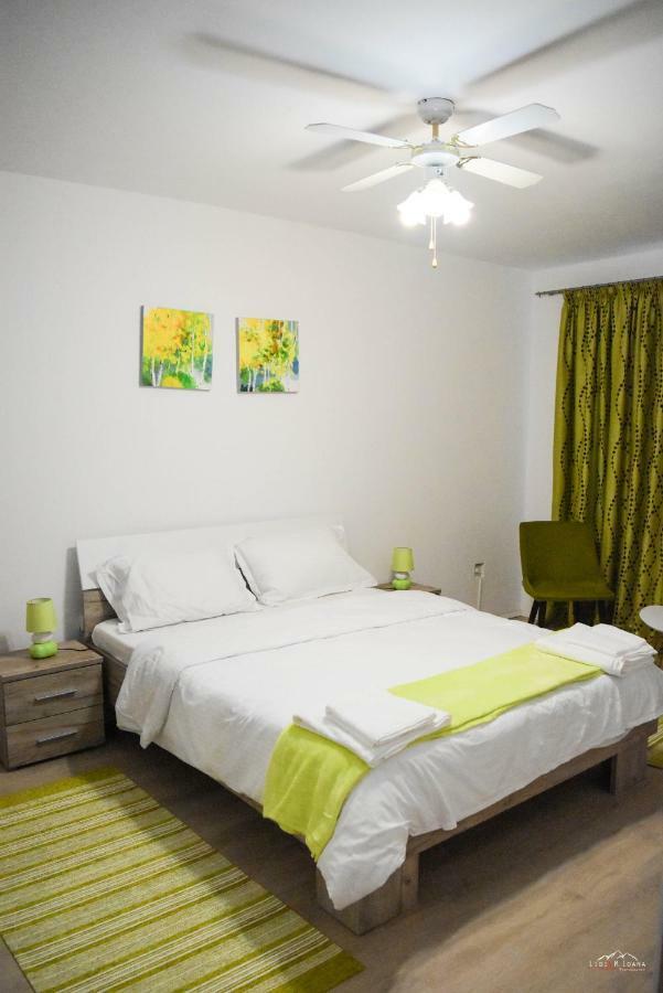 Spacious And Cozy 3Bd+Terrace Couples Apartment Timişoara Eksteriør billede