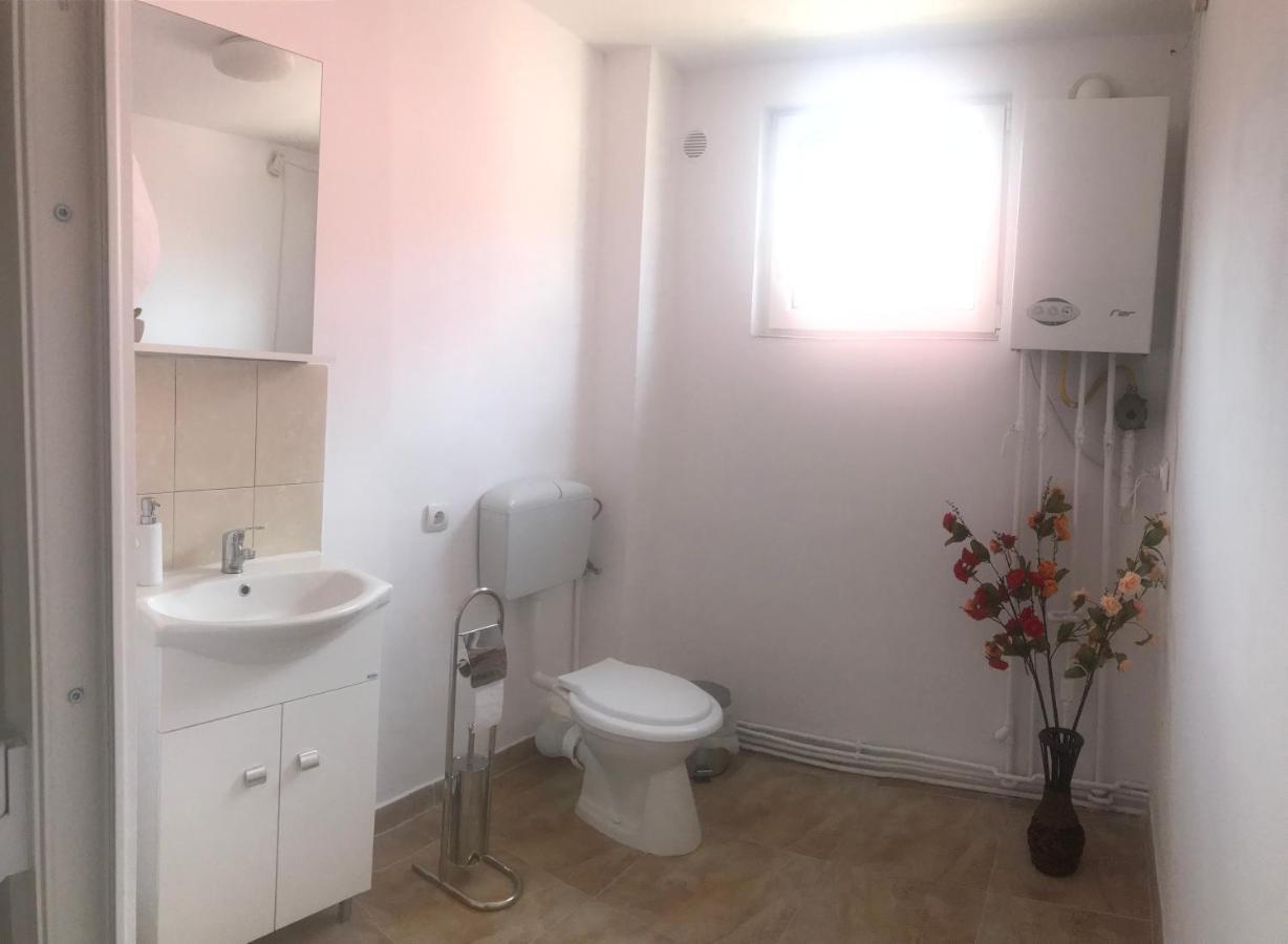 Spacious And Cozy 3Bd+Terrace Couples Apartment Timişoara Eksteriør billede